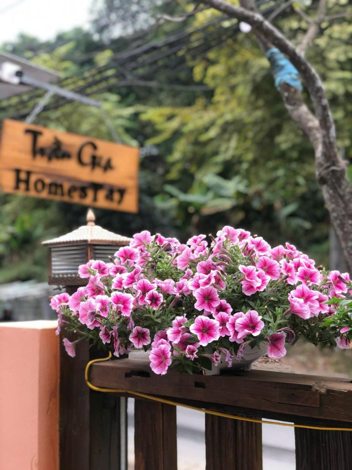 Tran Gia Homestay Nghia Lo Kültér fotó